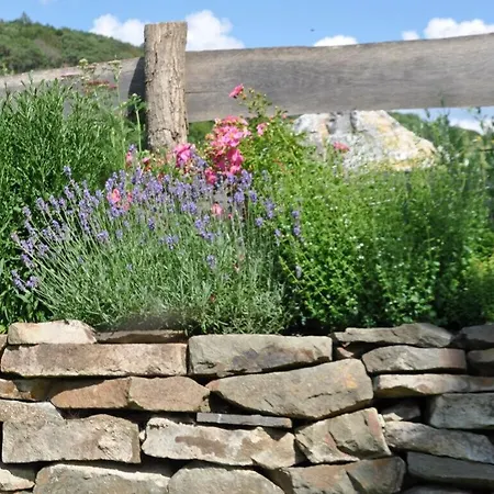 Kellerwald Comfortable Vöhl