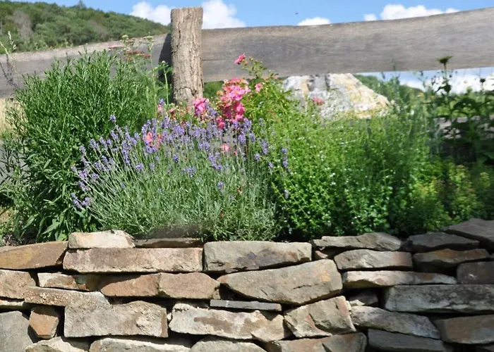 Kellerwald Comfortable Vöhl